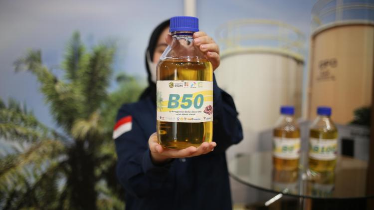 Petani Belum Rasakan Manfaat Penerapan B50, Apkasindo Usulkan Pembentukan Bursa Sawit Indonesia