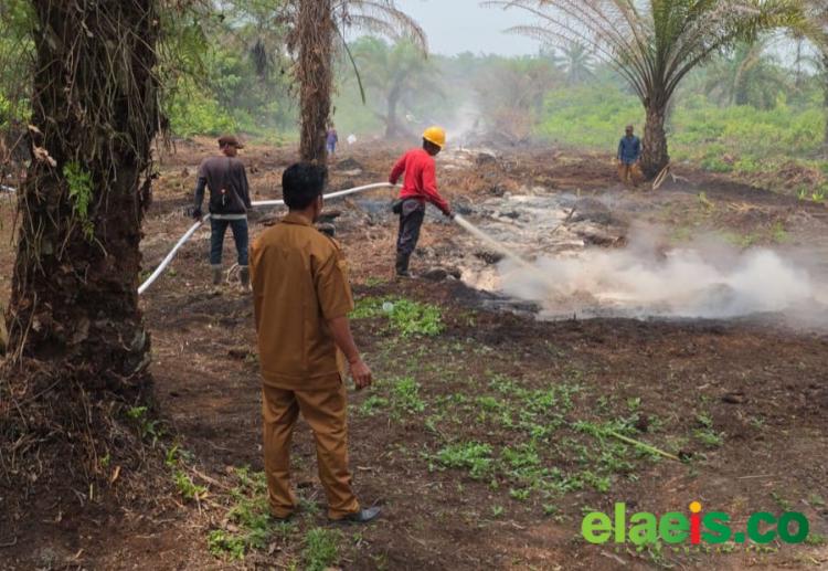 Beberapa Jam Berjibaku, 20 Personel Damkar PTPN IV Regional III Bersama Unsur Lain Berhasil Tangani Karhutla di Kampar