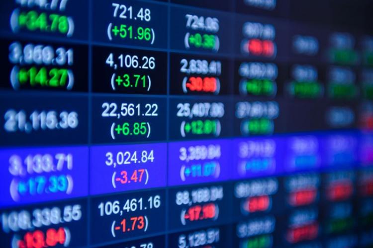 Saham Sawit Menguat di Tengah Karhutla, Pengamat Bilang Begini