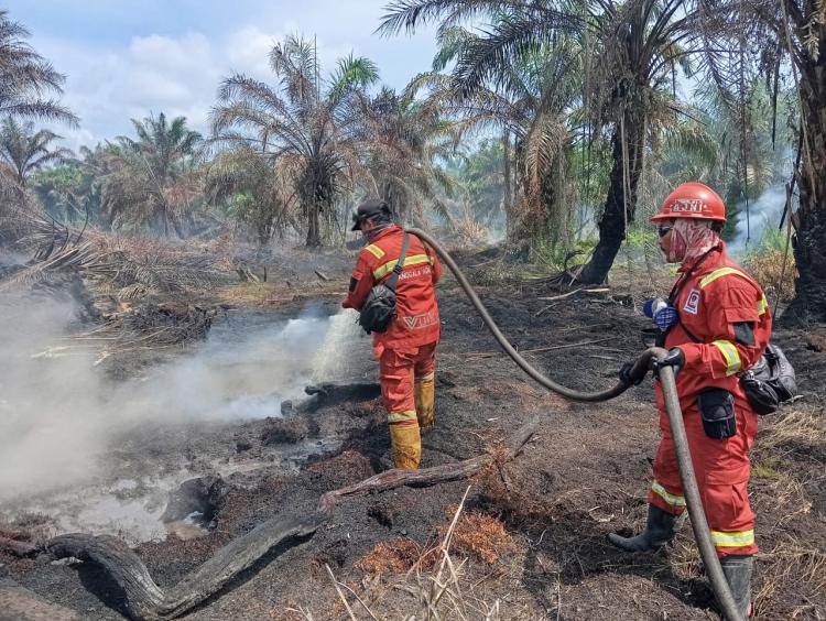 Data Karhutla 2015-2019: Mayoritas Titik Apo Terdeteksi pada Kawasan Hutan dan Konsesi Kehutanan