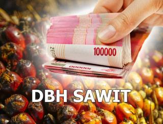 Ini 10 Kabupaten Paling Tajir dari DBH Sawit, Masih Didominasi Kalimantan dan Riau