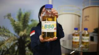 Petani Belum Rasakan Manfaat Penerapan B59, Apkasindo Usulkan Pembentukan Bursa Sawit Indonesia