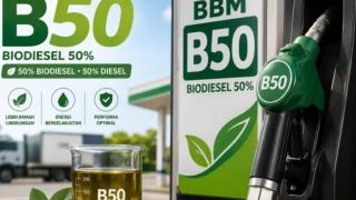 Ditunggu, Dinamika Harga Sawit Setelah Pemerintah HIP Biodiesel Agustus 2026