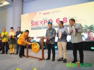 Perkuat SDM Sawit, Muncul Ide Membangun Palm Oil Institute di Riau
