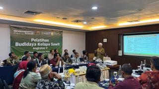 AKPY, BPDP, dan Ditjenbun Gelar Pelatihan Teknis Budidaya Kelapa Sawit bagi 298 Pekebun di Paser