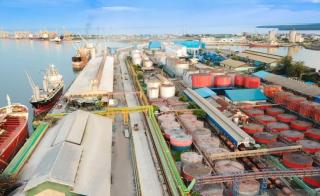 Positif, Harga CPO Sepanjang Pekan Pertama Agustus 2026