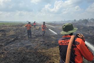 Riau Masuk Prioritas Penanganan Karhutla Nasional, Segini Luasan Lahan yang Terdampak