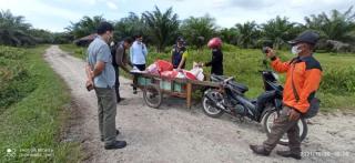 Dukung Sawit Berkelanjutan, Pengembangan SDM Pekebun di Bengkalis Masih Sangat Diperlukan