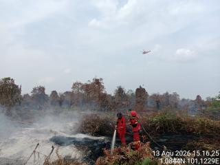 Penanganan Karhutla di 2 Kabupaten di Riau Terkendala Kencangnya Tiupan Angin yang Berubah Arah