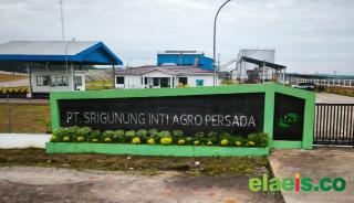 Sejumlah PKS Bermunculan di Sumsel, Terbaru Bernama Pussa