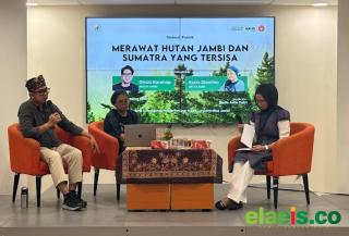 Jambi Kehilangan Hutan Hampir 1 Juta Hektar Akibat Pembukaan Lahan dan Deforestasi