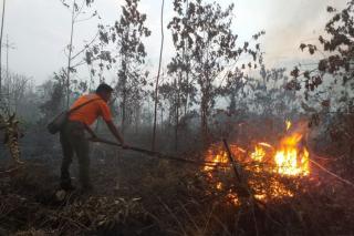 Dampak El Nino Kuat, BPBD Siak Waspadai Lonjakan Karhutla Agustus 2026