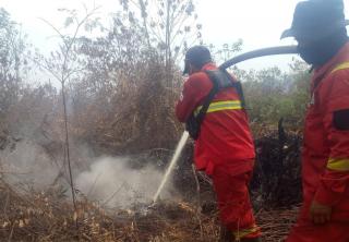 Tangani Karhutla, Manggala Agni Kerahkan Tim ke Lima Lokasi di Riau