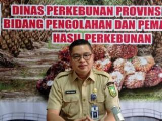 Harga Sawit Plasma di Riau Periode Ini Turun Lagi, Dibandrol Segini