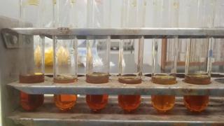 BRIN Kembangkan Teknologi Nuklir, Bikin Biodiesel dari Minyak Jelantah