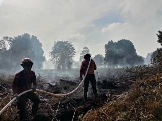 Gawat!  Sawit dari Lahan yang Terbakar 2026 Bisa Dilarang Masuk ke Pasar Eropa