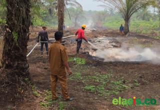 Beberapa Jam Berjibaku, 20 Personel Damkar PTPN IV Regional III Bersama Unsur Lain Berhasil Tangani Karhutla di Kampar