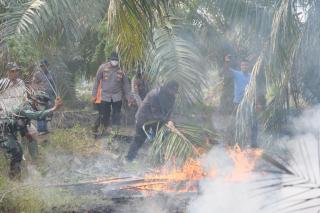 Ketika Bupati Siak Afni Ikut Padamkan Bara Api  di Cagar Biosfer Tasik Betung Pakai Pelepah Sawit