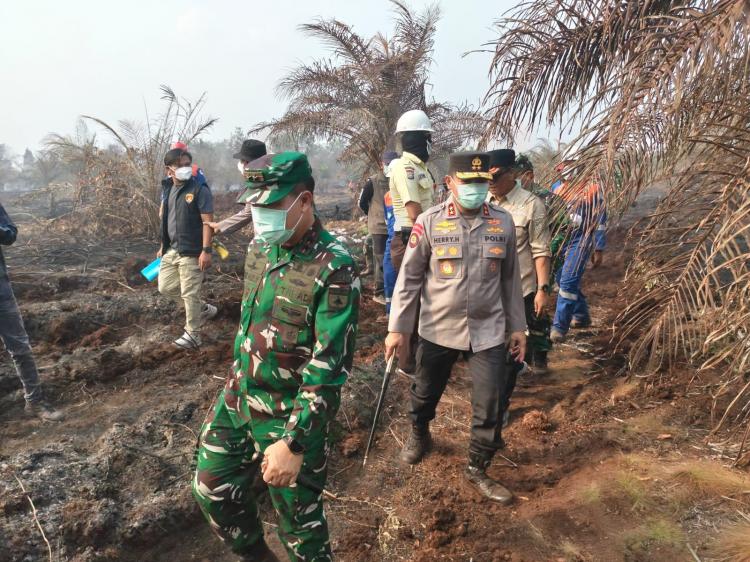 Sudah 44 yang Ditetapkan Tersangka dalam Kasus Karhutla di Riau