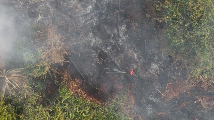 Sampai Minggu, Baru Satu dari 11 Lokasi Karhutla di Riau yang Telah Berhasil Dipadamkan