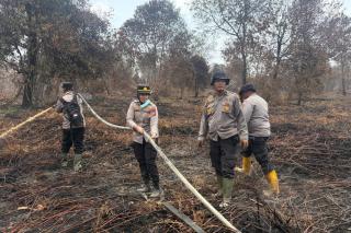 Telan Waktu 7 Hari, Karhutla di Sekitar Taman Nasional Zamrut Siak Berhasil Dipadamkan