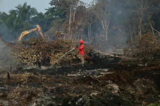 Seorang Pria di Rohul Ditetapkan sebagai Tersangka karena Diduga Membuka Lahan dengan Dibakar