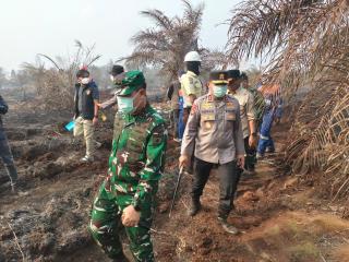 Sudah 44 yang Ditetapkan Tersangka dalam Kasus Karhutla di Riau