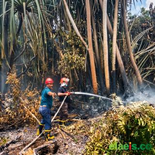 Kerahkan Personel dan Peralatan, PTPN IV Regional III Bantu Satgas Tanggulangi Karhutla di Riau