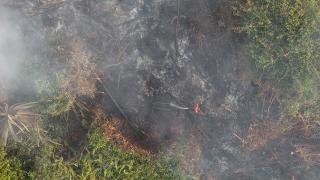 Sampai Minggu, Baru Satu dari 11 Lokasi Karhutla di Riau yang Telah Berhasil Dipadamkan